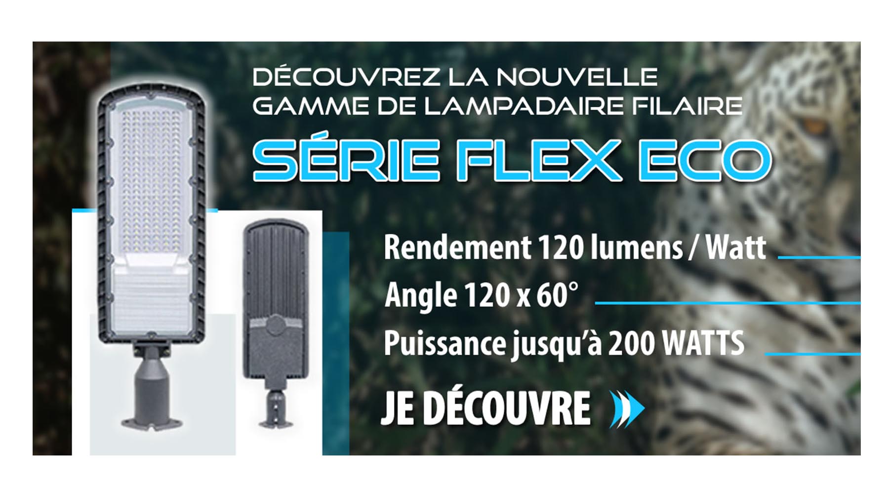 [NOUVEAU] Lampe de rue filaire - Série FLEX ECO