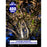 Lot de 5x Projecteurs LED solaire  Série AJUST V3 - CCT (Couleur Changeante en Température ) - Rendu lumineux 400 Watts - 2800 Lumens - 120° - IP65 - Lampe 36 x 30 x 5 cm - Panneau MONOCRISTALLIN 39 x 30 x 2 cm - Télécommande - Capteur crépusculaire