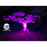 Carton / Lot de 5x Projecteurs LED solaires - Série WARRIOR RGBW (Multicolores + Blanc) - 100 Watts - Angle 120° - Lampe 26 x 20 x 6 cm - IP67 - Avec télécommande - Avec capteur crépusculaire - Bluetooth - Rythme musical