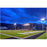 Projecteur haute puissance LED de stade - Série EXCEPTION - 240 Watts - 36 000 Lumens - 150 Lumens/Watt - Angle 20°/40°/60°/90° au choix - 44 x 28 x 11 cm - IP66 - IK08 - 2700k à 6500k - Transformateur Meanwell- Garantie 5 ans