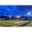 Lot de 4x Projecteurs haute puissance LED de stade - Série EXCEPTION - 500 Watts - 75 000 Lumens - 150 Lumens/Watt - Angle 20°/40°/60°/90° au choix - 44 x 48 x 11 cm - IP66 - IK08 - 2700k à 6500k - Transformateur Meanwell- Garantie 5 ans